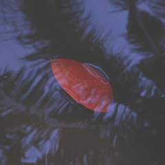 Thought . . .