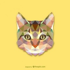 Rock'a'rolla Deep Jeeshan Mix