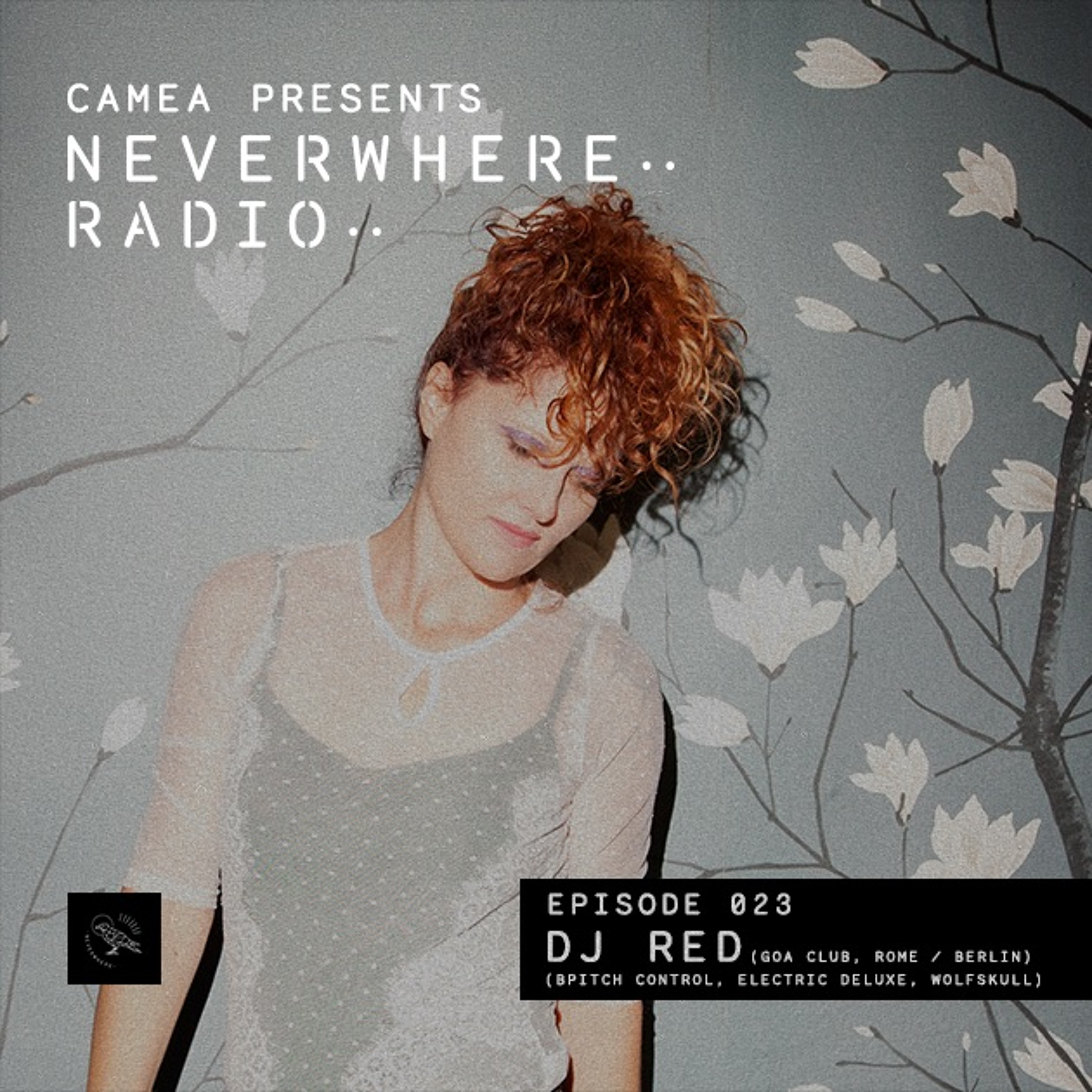 Camea Presents Neverwhere Radio