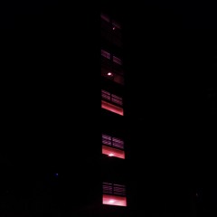 Nights without you