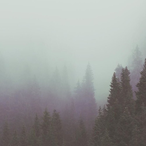 Demain A Commencé (feat. L'Ordre d'Héloïse)