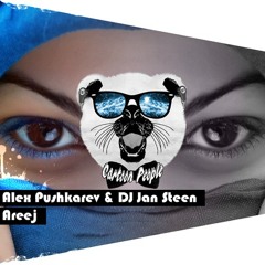 Alex Pushkarev DJ Jan Steen - Areej (Radio Ver)