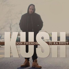 Don Phenom - Kush Ju Ka Rrejt (HD) (Official Audio)