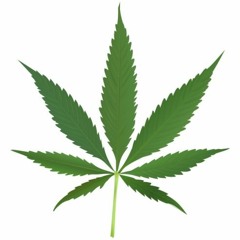 Adam Jensen - Marijuana Breath (DJ Winks remix)