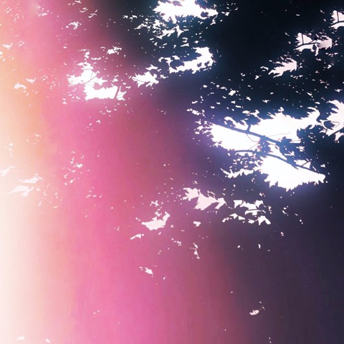 Light Catcher