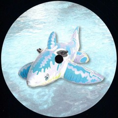 PREMIERE : Sonikku - Midnight Forest