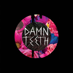 Damn Teeth - MRA Soundsystem (Live Recording/Mix/Master)
