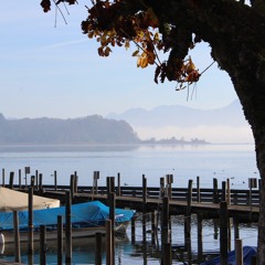 Love On The Weekend - John Mayer Cover