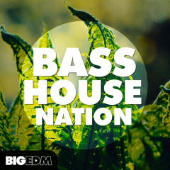 BASS House Nation ☠ [40 Serum Presets, Drums, Kits & More!] OUT NOW On Beatport!