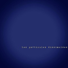 Les Particules Dissimulées_snippet by Sam Rouanet and Giovanni Verga