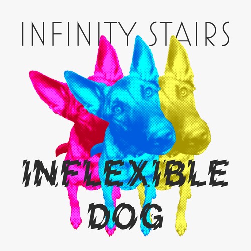 Inflexible Dog
