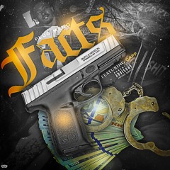 PLUGMEGO x CAPP-FACTS