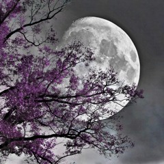 Lust [I won't be here long]