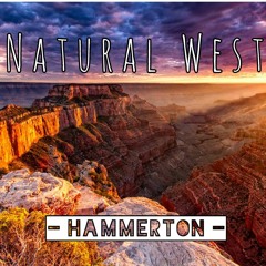 Natural West (guitar By Simon Hammerton)