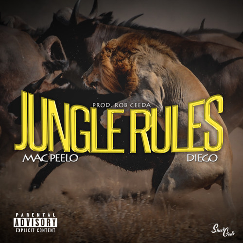JUNGLE RULES  - Mac Peelo ft Diego