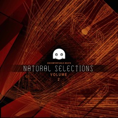 Subtlemuzik - Infinate [Natural Selections Vol.2]