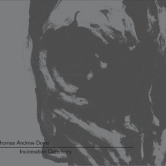 Bio-Illogical Functions by Thomas Andrew Doyle