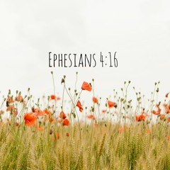 Ephesians 4:16