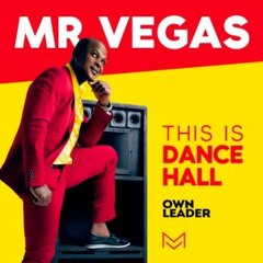 Mr Vegas (jamaica) jingle #SANLUNESCREW