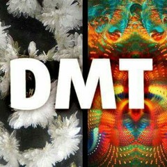 DMT (Prod. By ScumBeats)