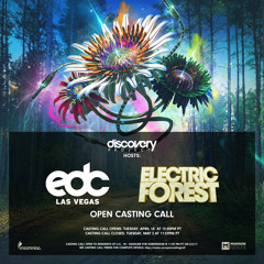 Grant Ekdahl - Electric Forest / EDC Vegas Open Casting Call 2017