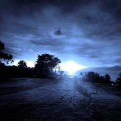 The call of the night