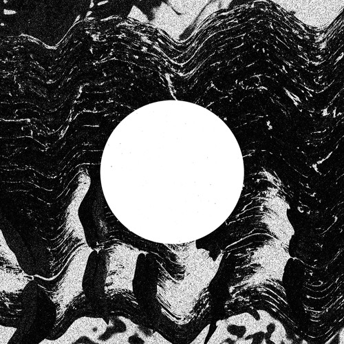 Greg le Bird - Straight Up | NachtEin.TagAus