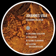 TOKEN73 - Johannes Volk - Designing Evolution