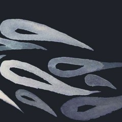 øøøø