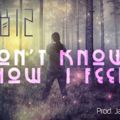 Dont Know How I Feel Ft. Realz [Prod. Jay Youngs]