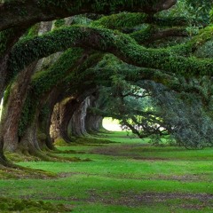 Matteo Falkone - Extorsion