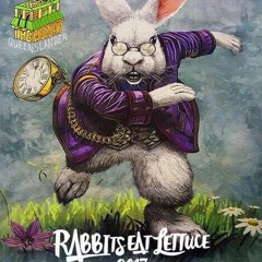 Funky Rabbit Hole - Live from Rabbits Eat Lettuce 2017