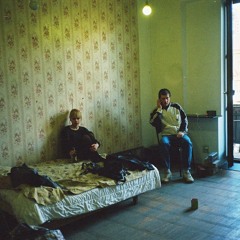 jungle bless -colors