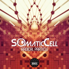 Somatic Cell - Lost In Valhalla