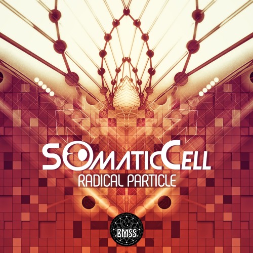 Somatic Cell - Lost In Valhalla