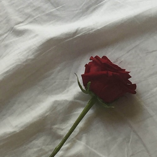 For The Most Part