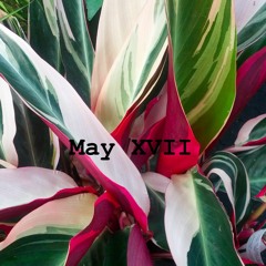 May XVII