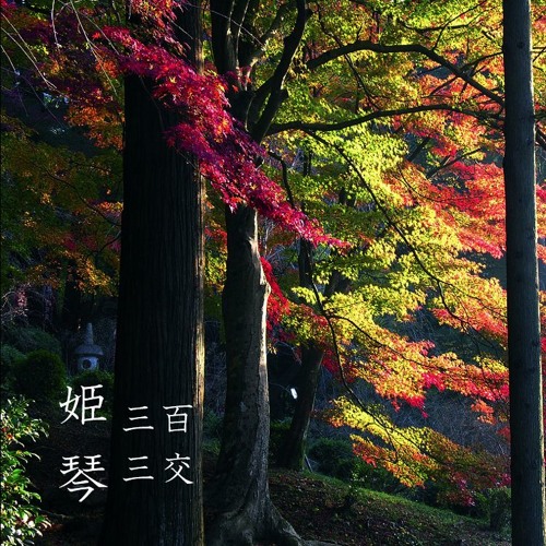 姫琴 - Himegoto 303 extended