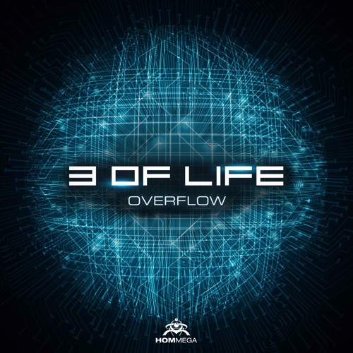 3 Of Life - Overflow
