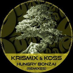 KRISMIX & KOSS - HUNGRY BONZAI (Rene Reiter Remix) preview