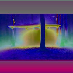 Appetizer - Meanwhile