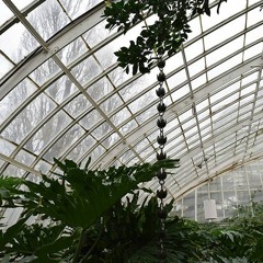 Water Chain