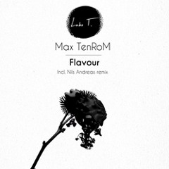 PREMIERE: Max TenRoM - Horizon (Original Mix)[Labo T.]