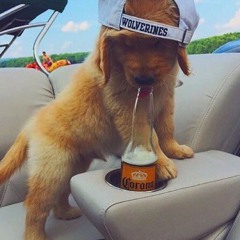 There is no pregame like a Scranton pregame!