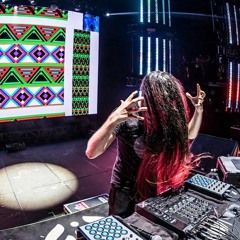 Bassnectar Mixes
