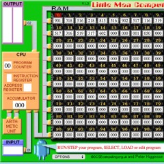 MB$ - PUSSY  (ZEUS )