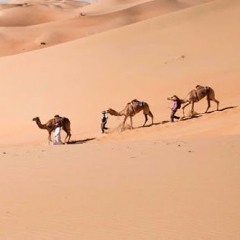 خليلي هذا ربع عزة --- أداء تقي الله الشريف