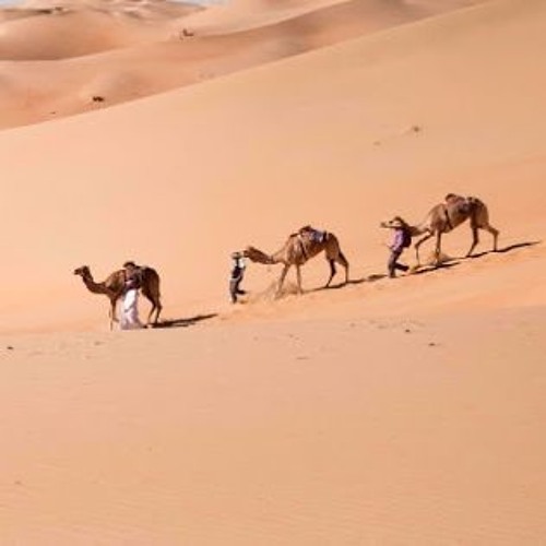 خليلي هذا ربع عزة --- أداء تقي الله الشريف