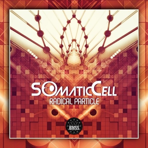 Somatic Cell - Factor Of The Universe - Out Now On BMSS Records