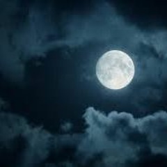 Crusher Vs.Konstrukteur - Aka "Lunatic Warriors"